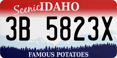 ID license plate 3B5823X