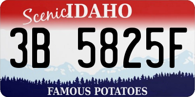 ID license plate 3B5825F