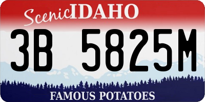 ID license plate 3B5825M