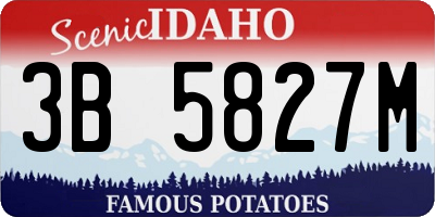 ID license plate 3B5827M