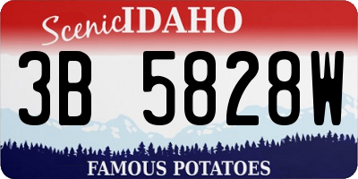 ID license plate 3B5828W