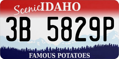 ID license plate 3B5829P