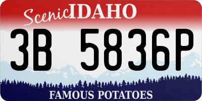 ID license plate 3B5836P