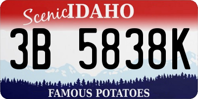 ID license plate 3B5838K