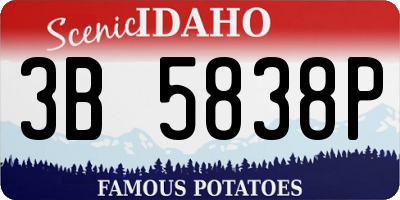 ID license plate 3B5838P