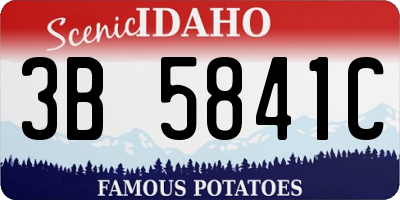 ID license plate 3B5841C