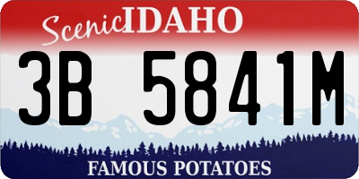 ID license plate 3B5841M