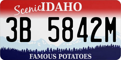 ID license plate 3B5842M