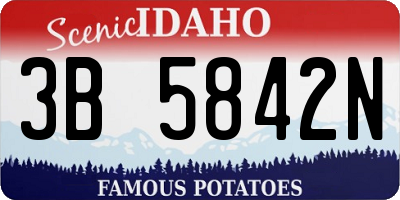 ID license plate 3B5842N