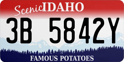 ID license plate 3B5842Y