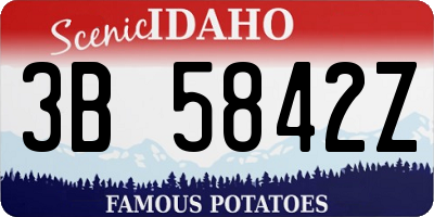ID license plate 3B5842Z