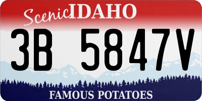 ID license plate 3B5847V