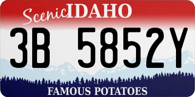 ID license plate 3B5852Y