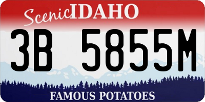 ID license plate 3B5855M