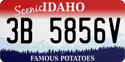 ID license plate 3B5856V