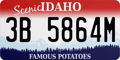 ID license plate 3B5864M