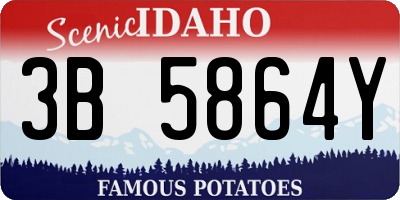 ID license plate 3B5864Y