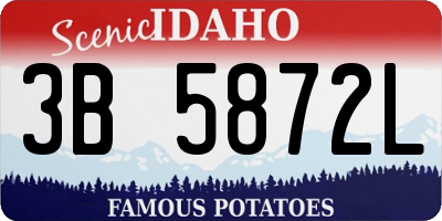ID license plate 3B5872L