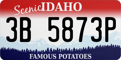 ID license plate 3B5873P
