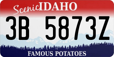 ID license plate 3B5873Z