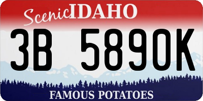 ID license plate 3B5890K