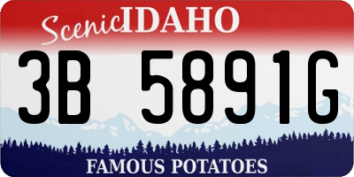 ID license plate 3B5891G