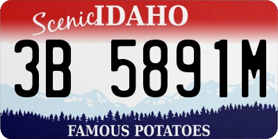 ID license plate 3B5891M
