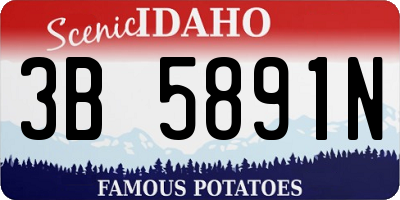 ID license plate 3B5891N