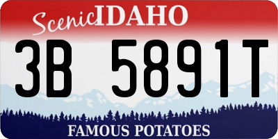 ID license plate 3B5891T