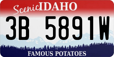 ID license plate 3B5891W
