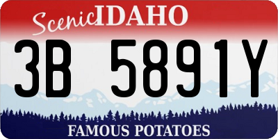 ID license plate 3B5891Y