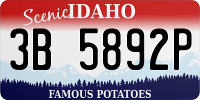 ID license plate 3B5892P