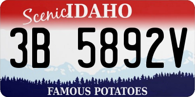 ID license plate 3B5892V