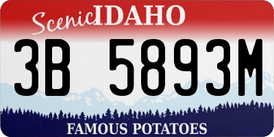 ID license plate 3B5893M
