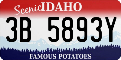 ID license plate 3B5893Y