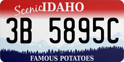 ID license plate 3B5895C