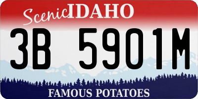 ID license plate 3B5901M