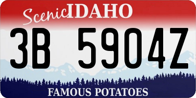ID license plate 3B5904Z