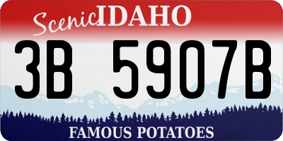 ID license plate 3B5907B