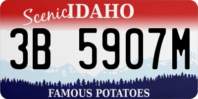 ID license plate 3B5907M