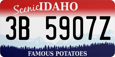 ID license plate 3B5907Z
