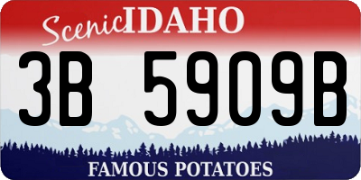 ID license plate 3B5909B