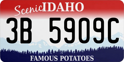 ID license plate 3B5909C