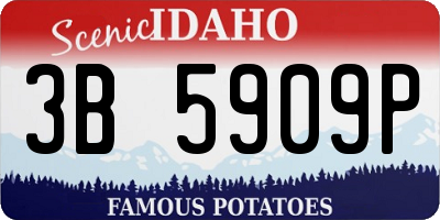 ID license plate 3B5909P