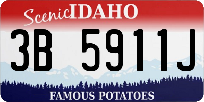 ID license plate 3B5911J