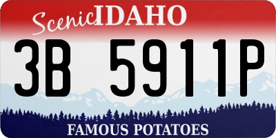 ID license plate 3B5911P
