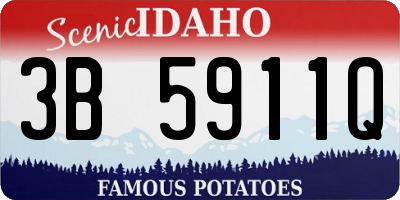 ID license plate 3B5911Q