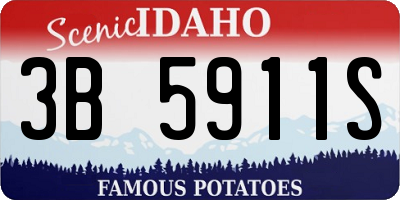 ID license plate 3B5911S