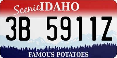 ID license plate 3B5911Z