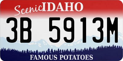 ID license plate 3B5913M